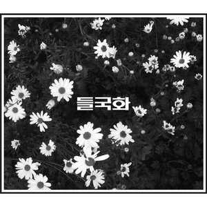 张柏芝陈冠希做爰视频
